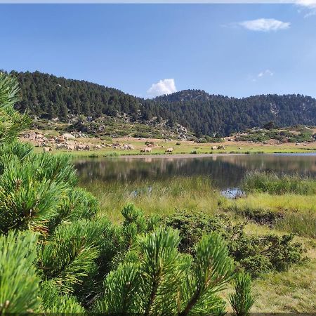 Residence Orazur - Appartement De Charme - 2 Chambres - Poele A Bois - 2 Balcons - Jardin - Parking - Internet - Linge Et Menage En Options Payantes Font-Romeu-Odeillo-Via Exterior foto